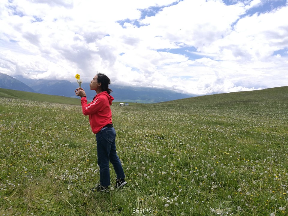 IMG_20180626_144539_2