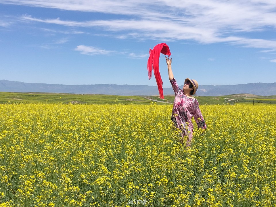 IMG_20180627_133729_2