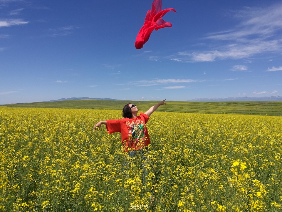 IMG_20180627_134248_1