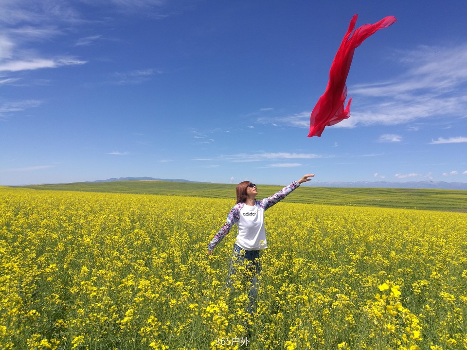 IMG_20180627_134353_5