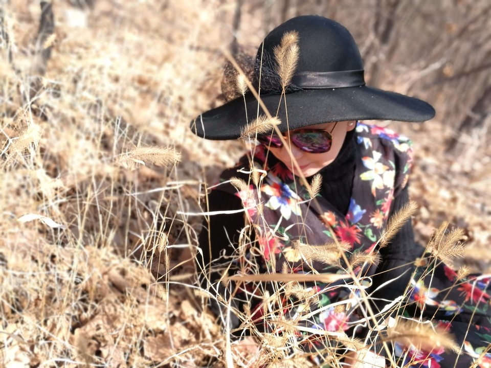 mmexport1519540336744