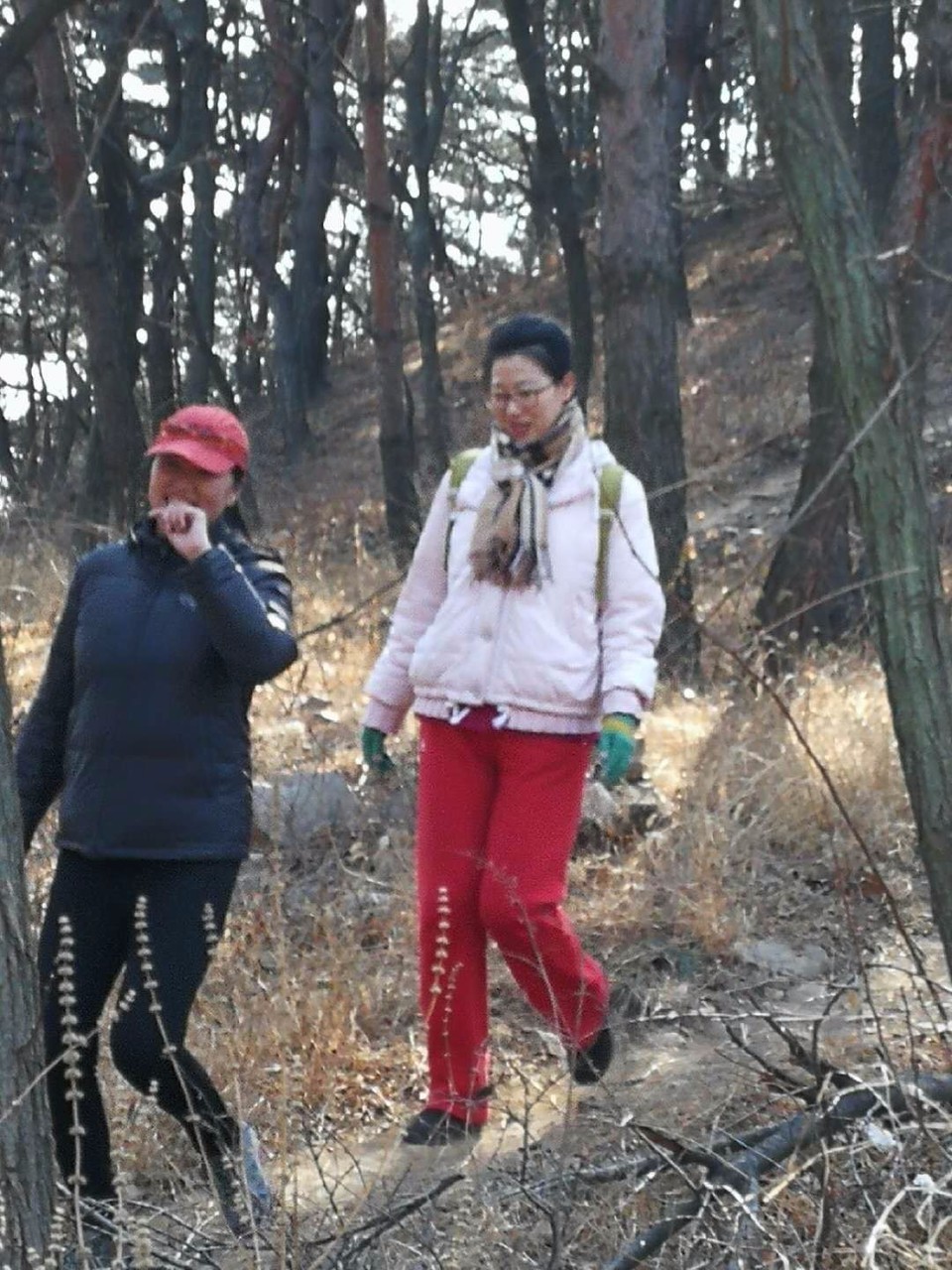 mmexport1519540339292