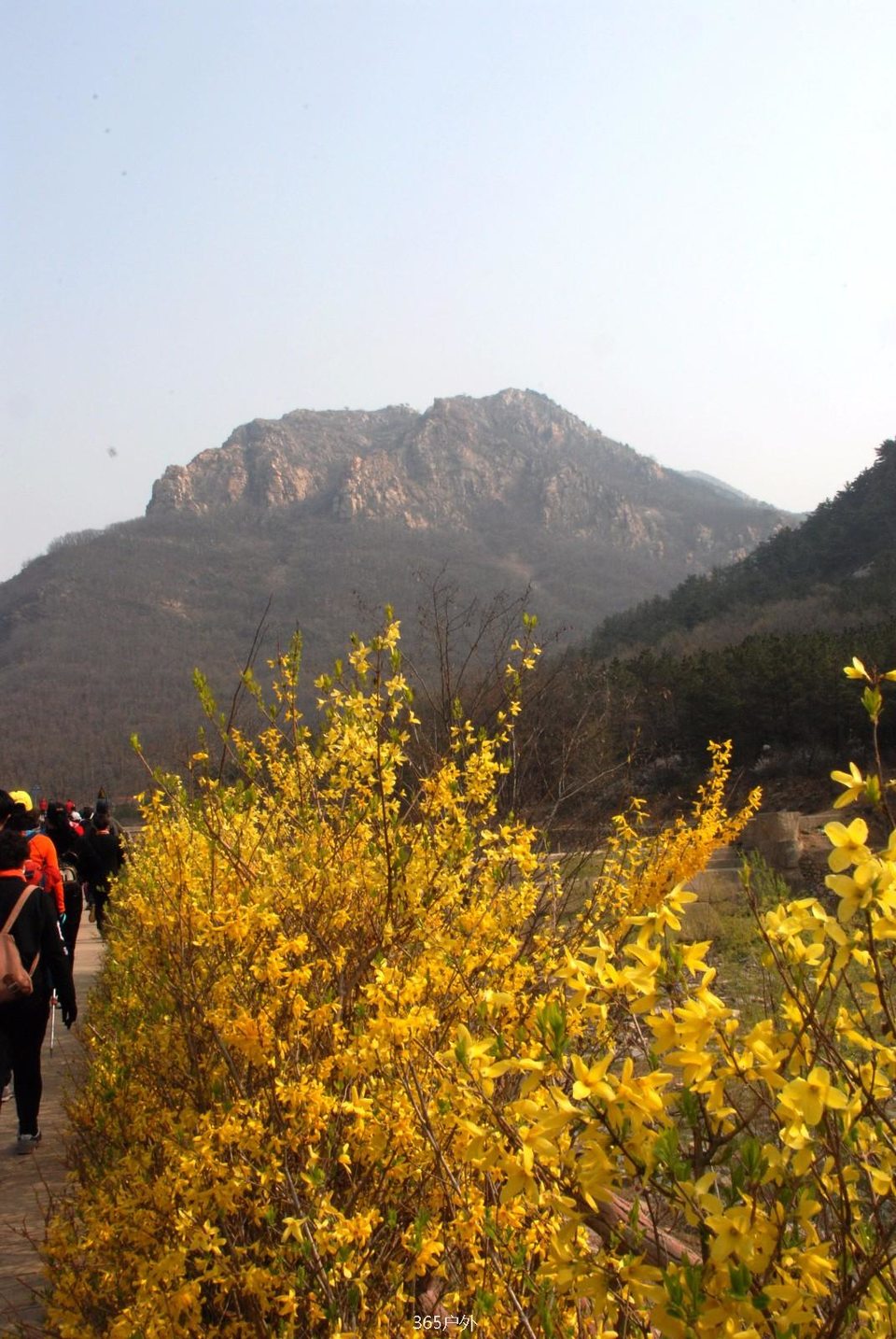 mmexport1524151914760