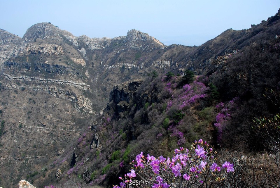 mmexport1524152001937