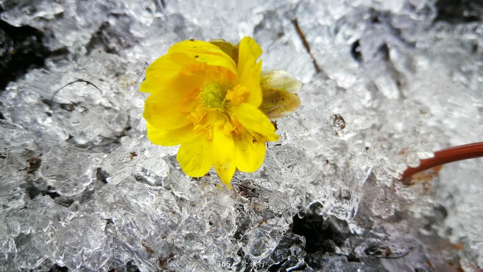 rfhd0usQd4reth11QTqNjtDJ8gL8Bc4cygaj5yCkH5TABI3hxftVnF2Xz0Itf0JG