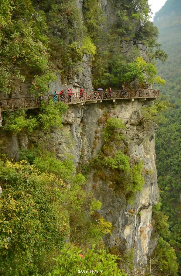 633YoziEzbkLpMqb9vEX8GW8KC3O-lOr6vTDC0__jcu6W3hN1Vli1bLkXW0djQFi