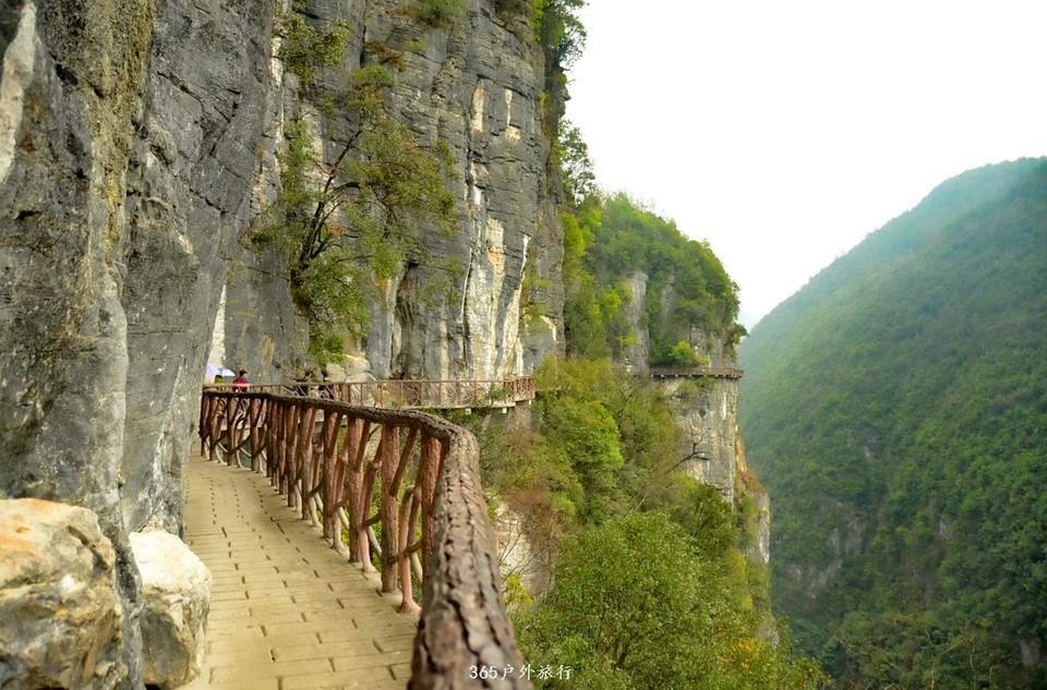 _7DgRe_4z1MHSnITgHBqRdyuIUdv1bfbXyhALZvCm1fm5slObwEbZWr9Lv_ZGD8F