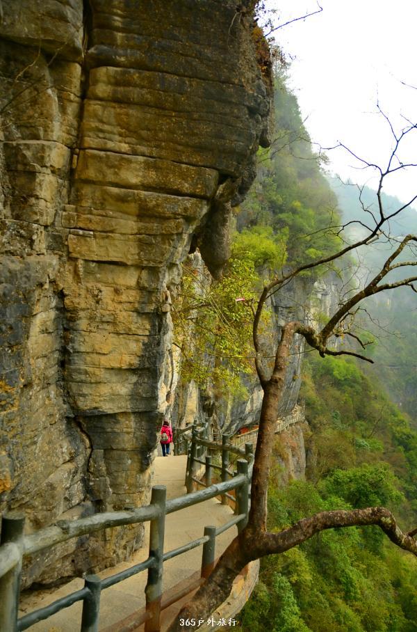 VfPbiTRPouErnMzVWOm9OdG3zsJXBTIW7ICHerNEFxR-qDSkfRPsvSi0lE97LDzO