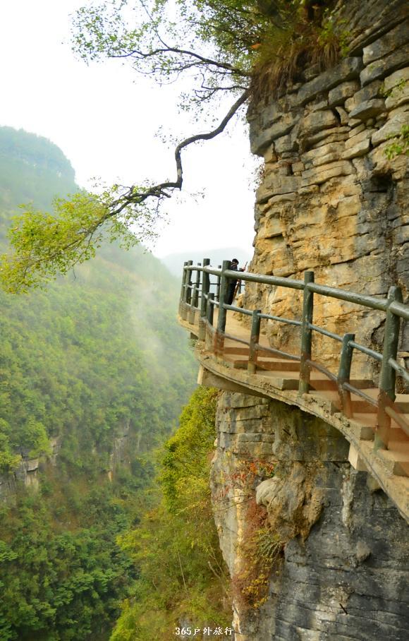 0soQ1dRk0JBcCmIeMPSf6DBP3GE2Y3ZBsUULiKH1cU9_ax9LPdlr-UQNOHaiIClq