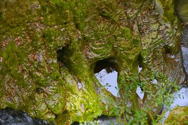 OuGxz9oxa6MDqBXQfTchds-lnvYIOuSOZW5ADt5IV59tP_4hyvQmzKlzpJhce8uJ