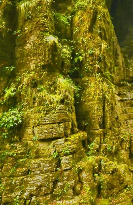 PWLf0ccHCyMM1KnalnaM3efEtfzsOUgMMDex2qsRWpyOh_QGOgjuBXJtOVOUiHw1