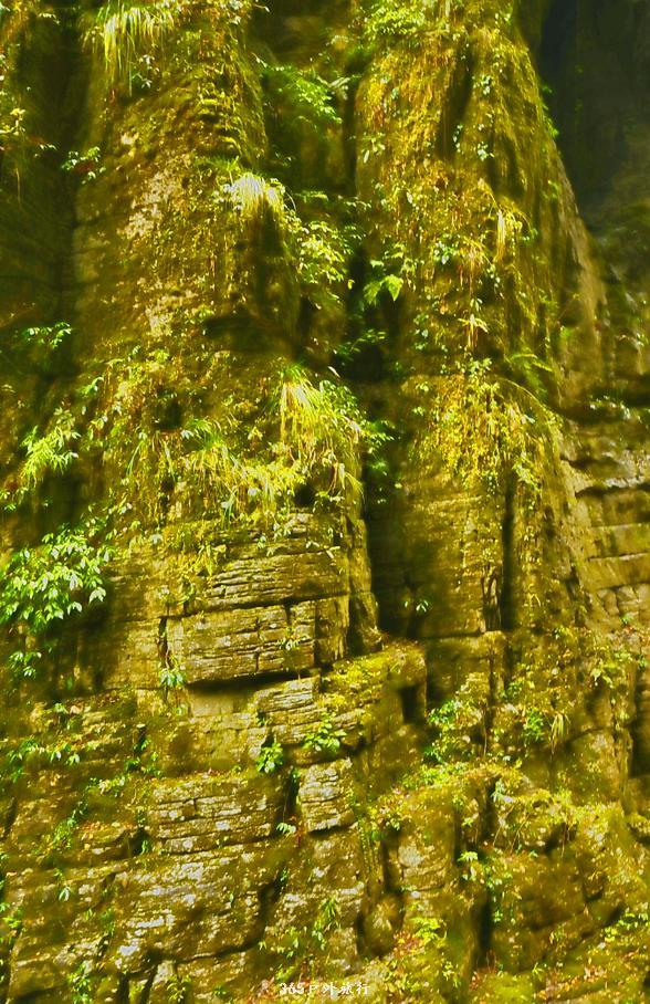 PWLf0ccHCyMM1KnalnaM3efEtfzsOUgMMDex2qsRWpyOh_QGOgjuBXJtOVOUiHw1