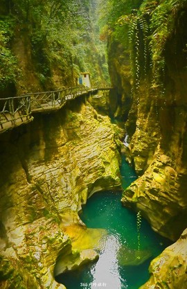 miSMsiBg1hCshjPuehPoVL9DlArszMkoEx6ywT_7nDuQwcV35O8iV4pHajVKDMj-