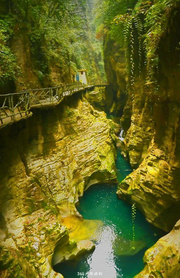 miSMsiBg1hCshjPuehPoVL9DlArszMkoEx6ywT_7nDuQwcV35O8iV4pHajVKDMj-