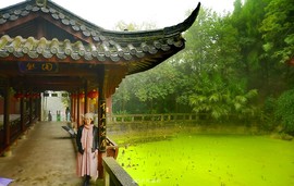 mmexport1545977668126