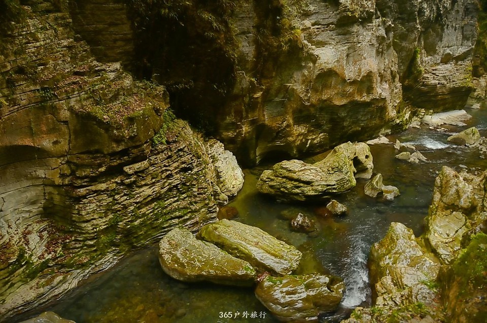 mmexport1545977736775