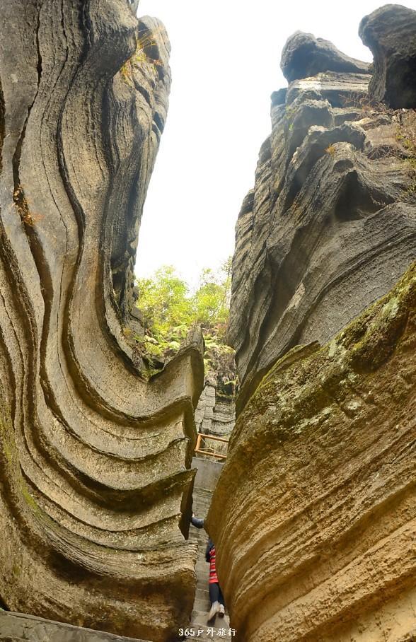 mmexport1545975782949