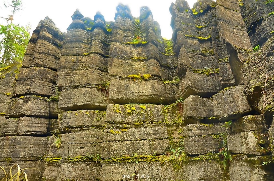 mmexport1545975742955