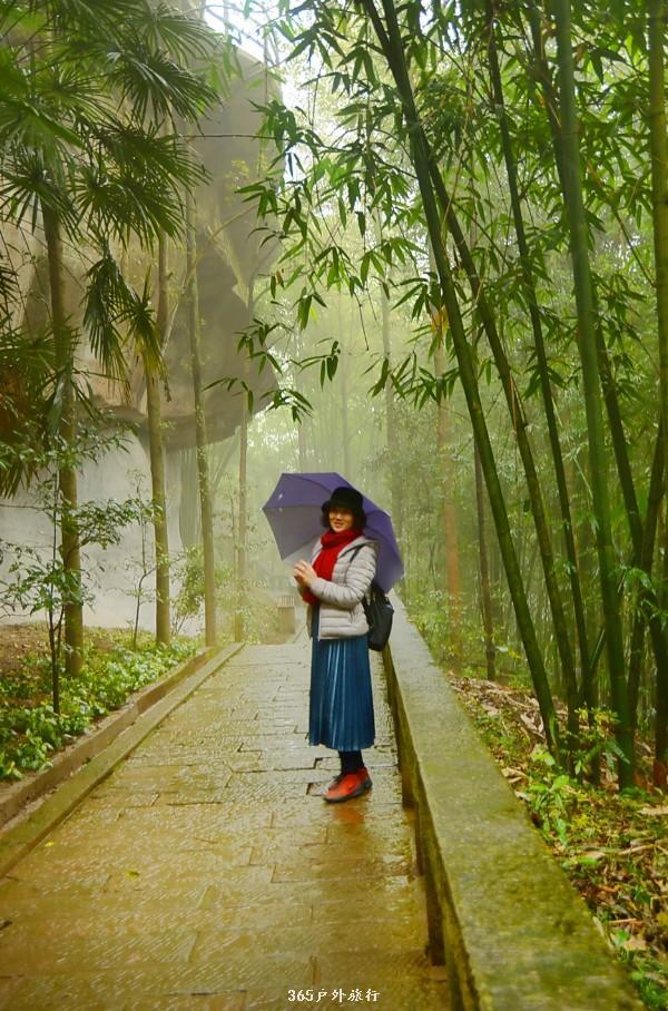 mmexport1545981352831