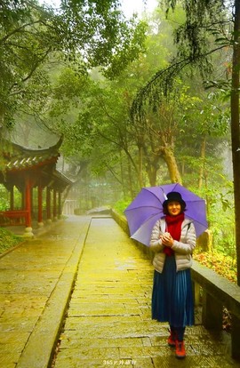 mmexport1545981346462