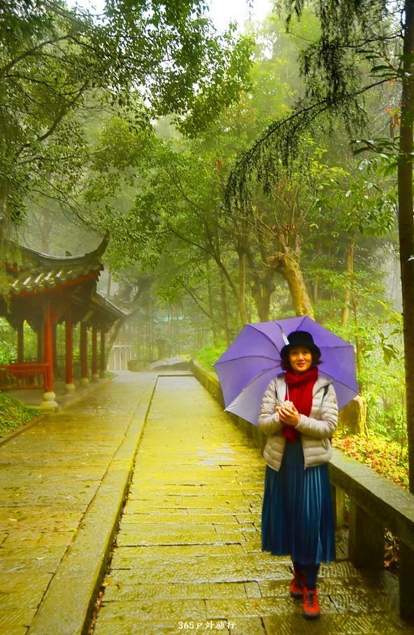 mmexport1545981346462