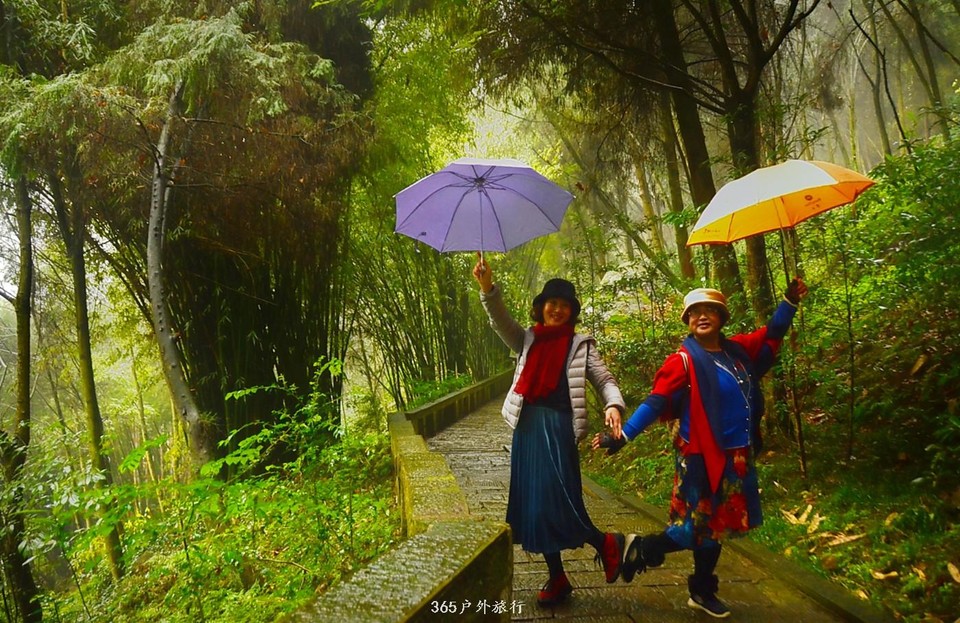 mmexport1545981266358