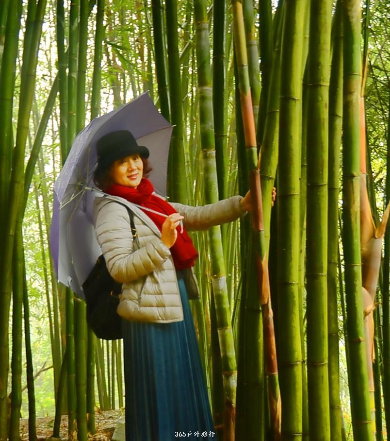 mmexport1545981349731