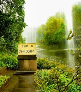 mmexport1545977631665