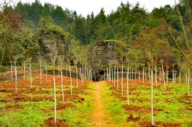 mmexport1546066269628