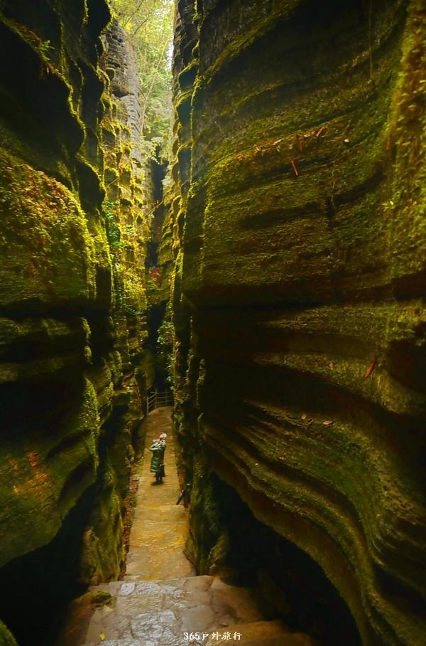 mmexport1546066295977