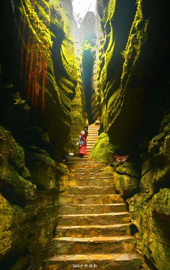 mmexport1546066296326