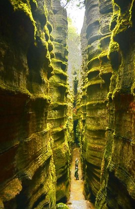 mmexport1546066295527