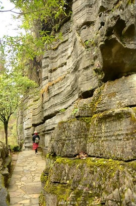 mmexport1546066373763