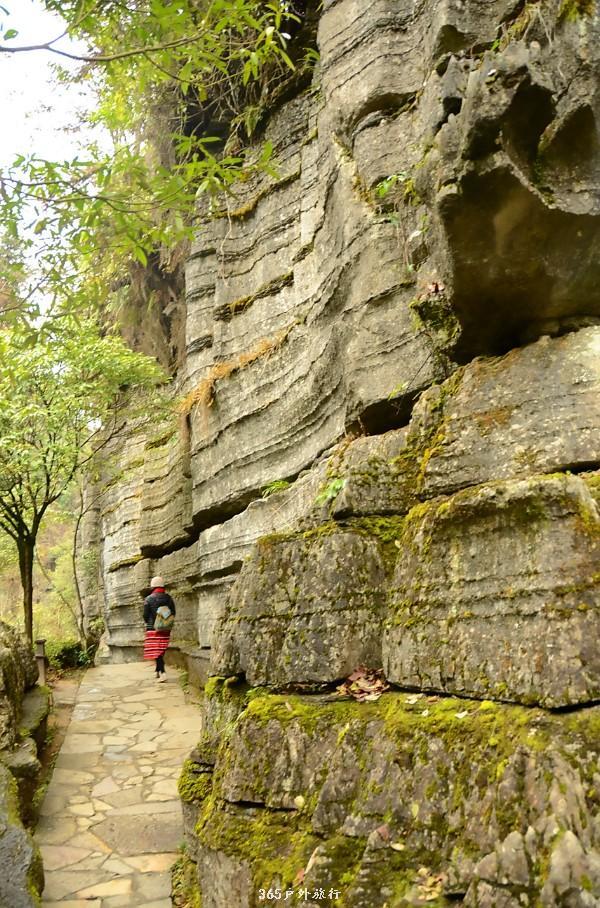 mmexport1546066373763