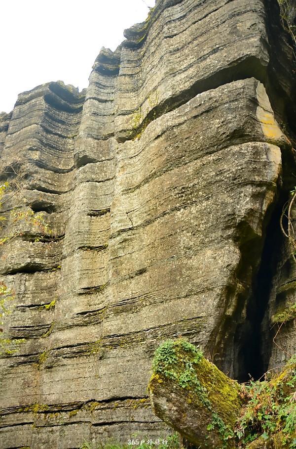 mmexport1546066367616