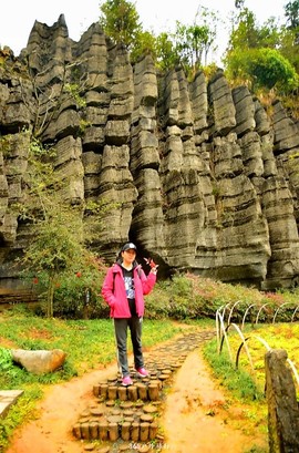 mmexport1546066478524