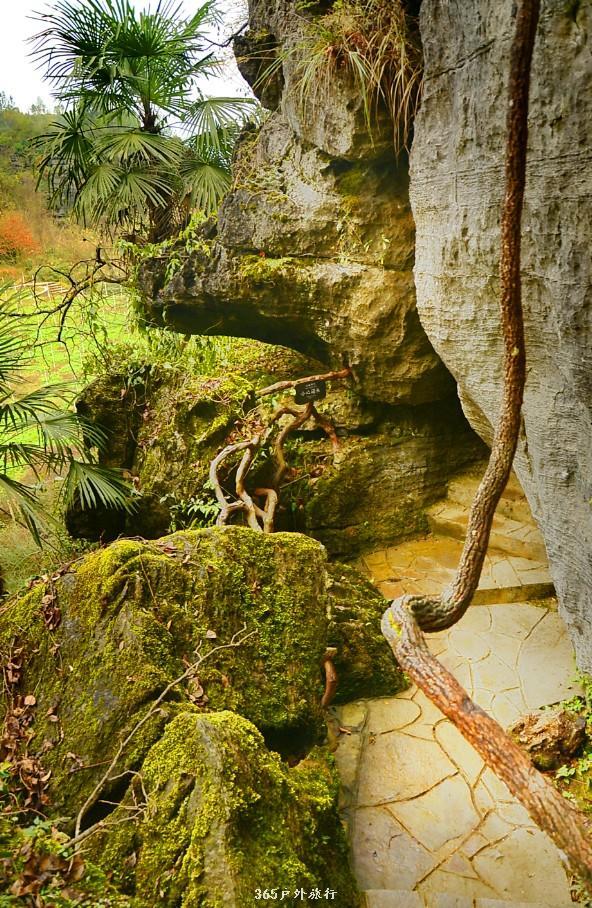 mmexport1546066475494