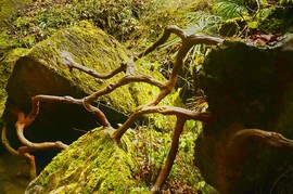 mmexport1546066471968