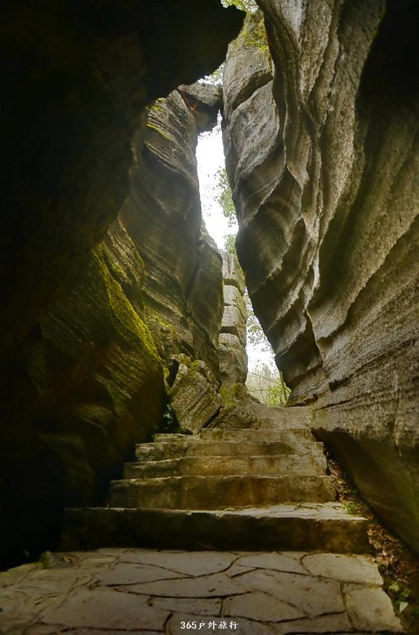 mmexport1546066467096