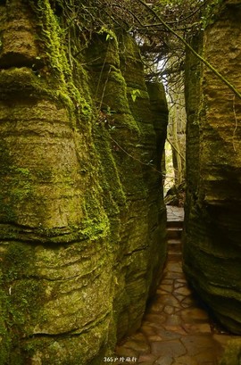 mmexport1546066460461