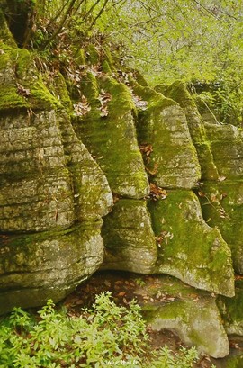 mmexport1546066457516