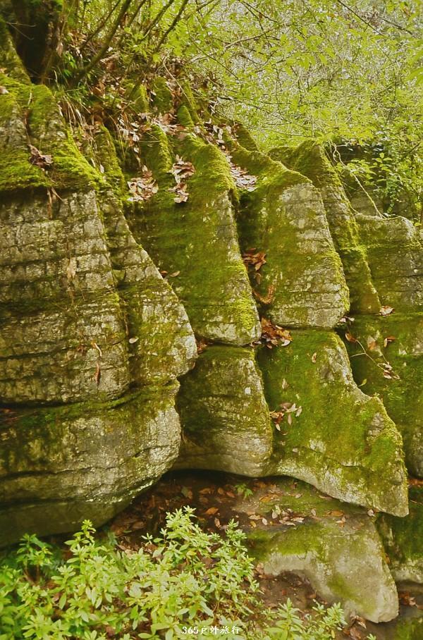 mmexport1546066457516