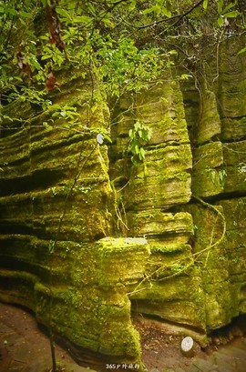 mmexport1546066447813