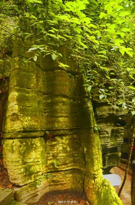 mmexport1546066444073