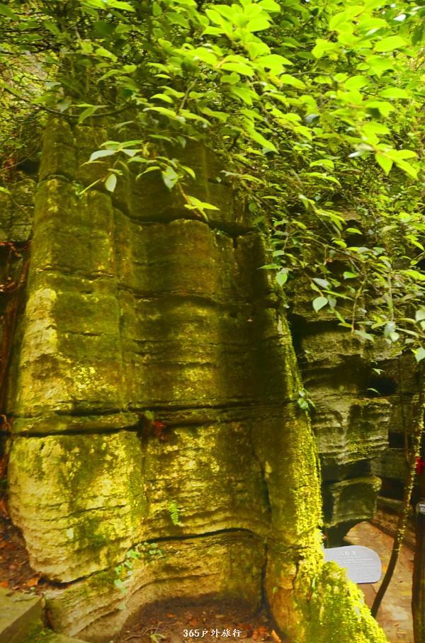 mmexport1546066444073