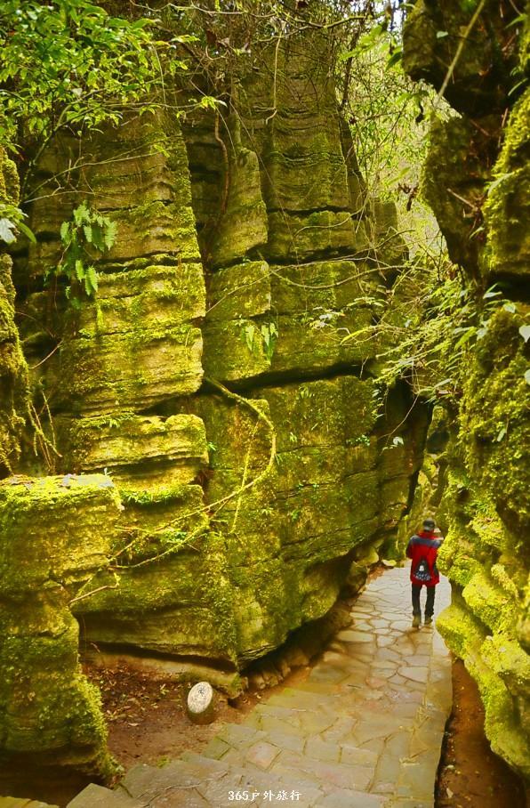 mmexport1546066440834