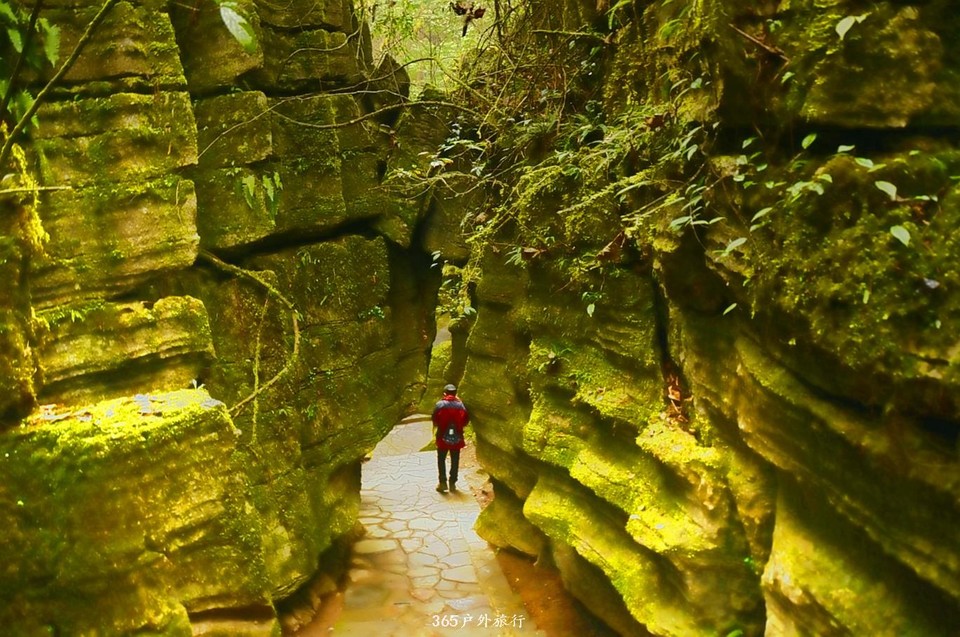 mmexport1546066435202