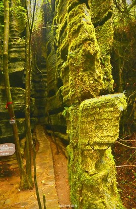 mmexport1546066429879