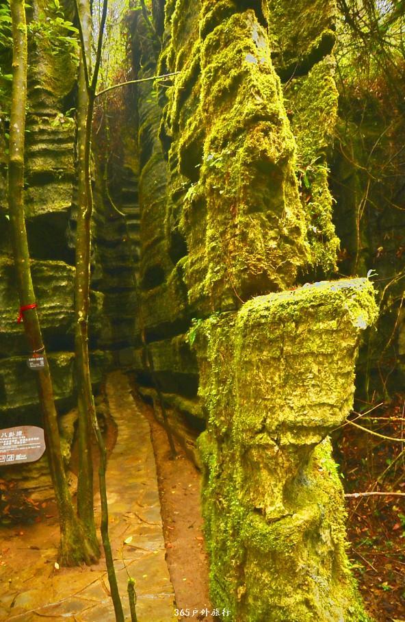 mmexport1546066429879