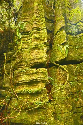 mmexport1546066426696